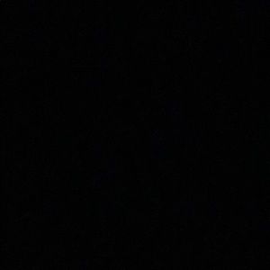 Meet your Posher, Remi